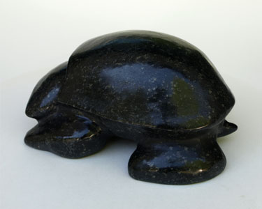 "Mr. Turtle" - left side